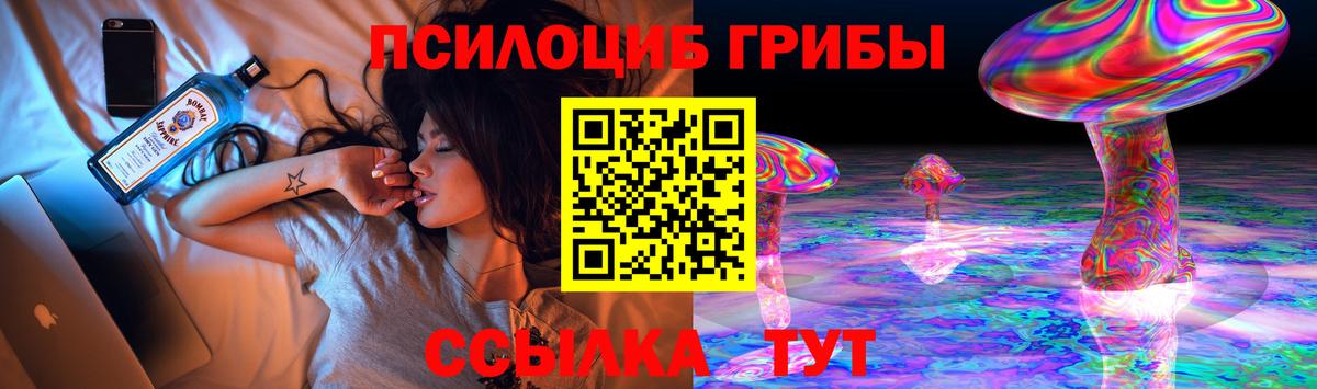 Калач-на-Дону  Галлюциногенные грибы Psilocybine cubensis  Вход с VPN 